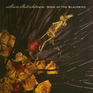 Song of the blackbird